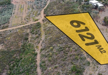 Gazipaşa Çobanlarda Büyük Dönüm Avokadoya Uygun Tarla